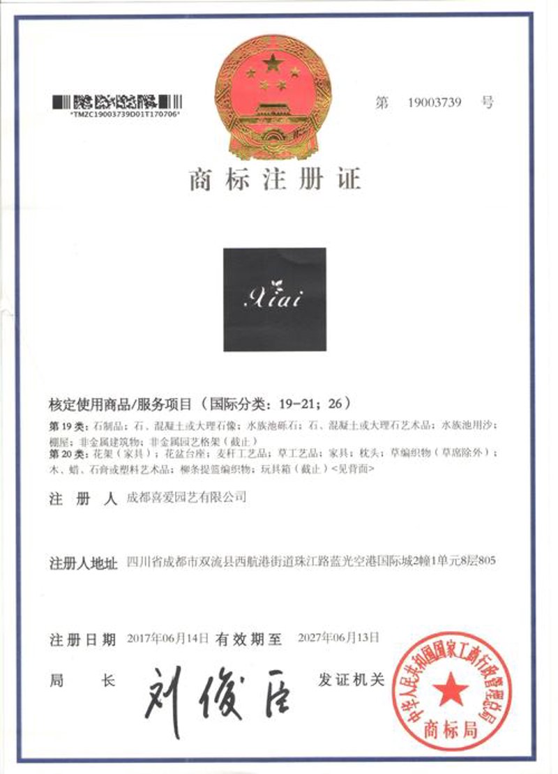 专利驳回复审:解读行业新动态